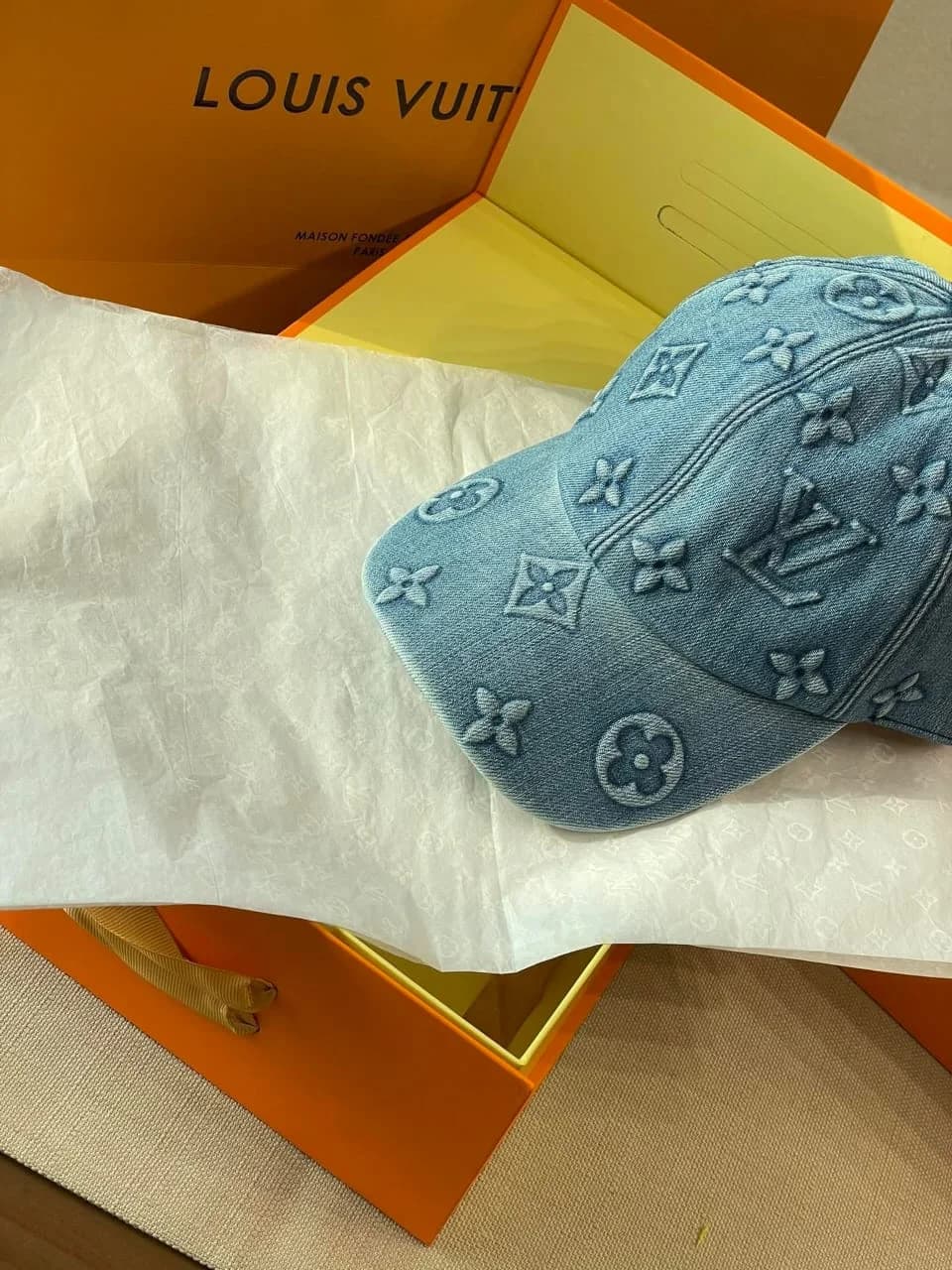 Louis Vuitton Pet foto 8