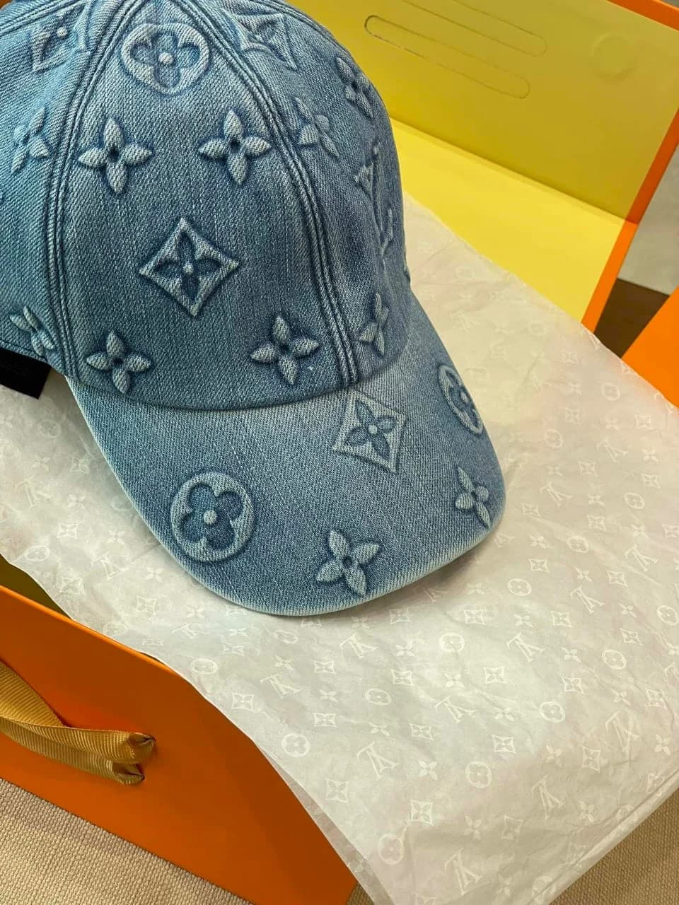 Louis Vuitton Pet foto 6